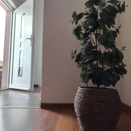Dream Apartment